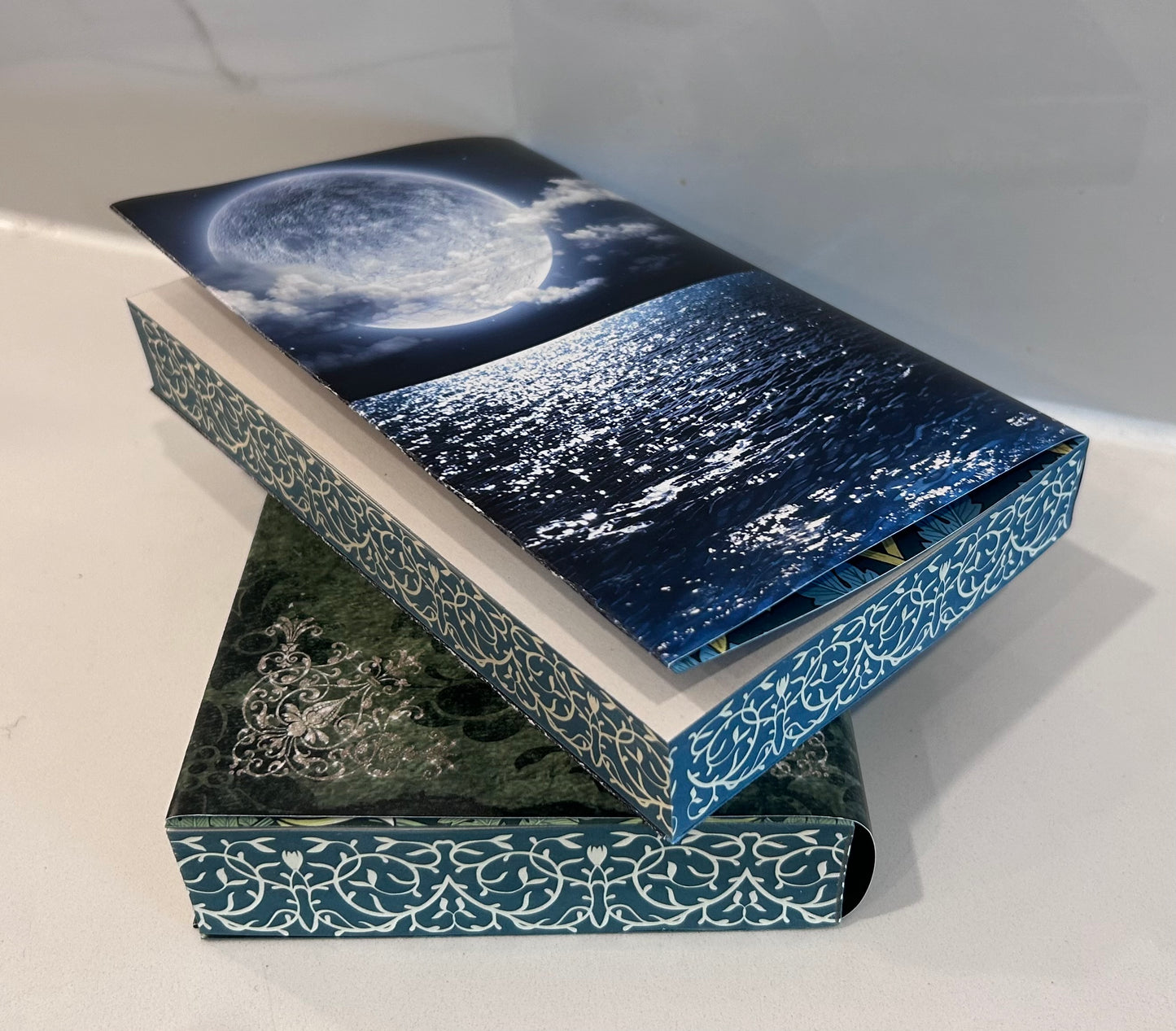 Octopian Shifters Paperback Dust Jacket